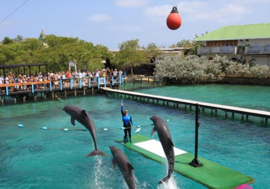 Isla Barú Cabanas Wアパートホテル エクステリア 写真